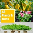thumbnail image 5 of Humboldts Secret Golden Tree All-in-One Organic Fertilizer, 2 zz with Essential Nutrients, 5 of 7