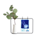 thumbnail image 1 of Jarrones colgantes de vidrio transparente Unbranded Decoración Botella, 1 of 4