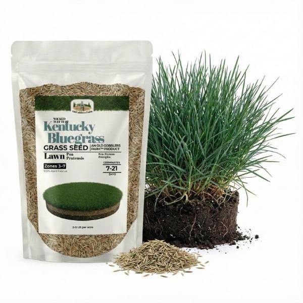 Old Cobblers Farm™ Wicked Tuff Turf Kentucky Bluegrass, 10lbs