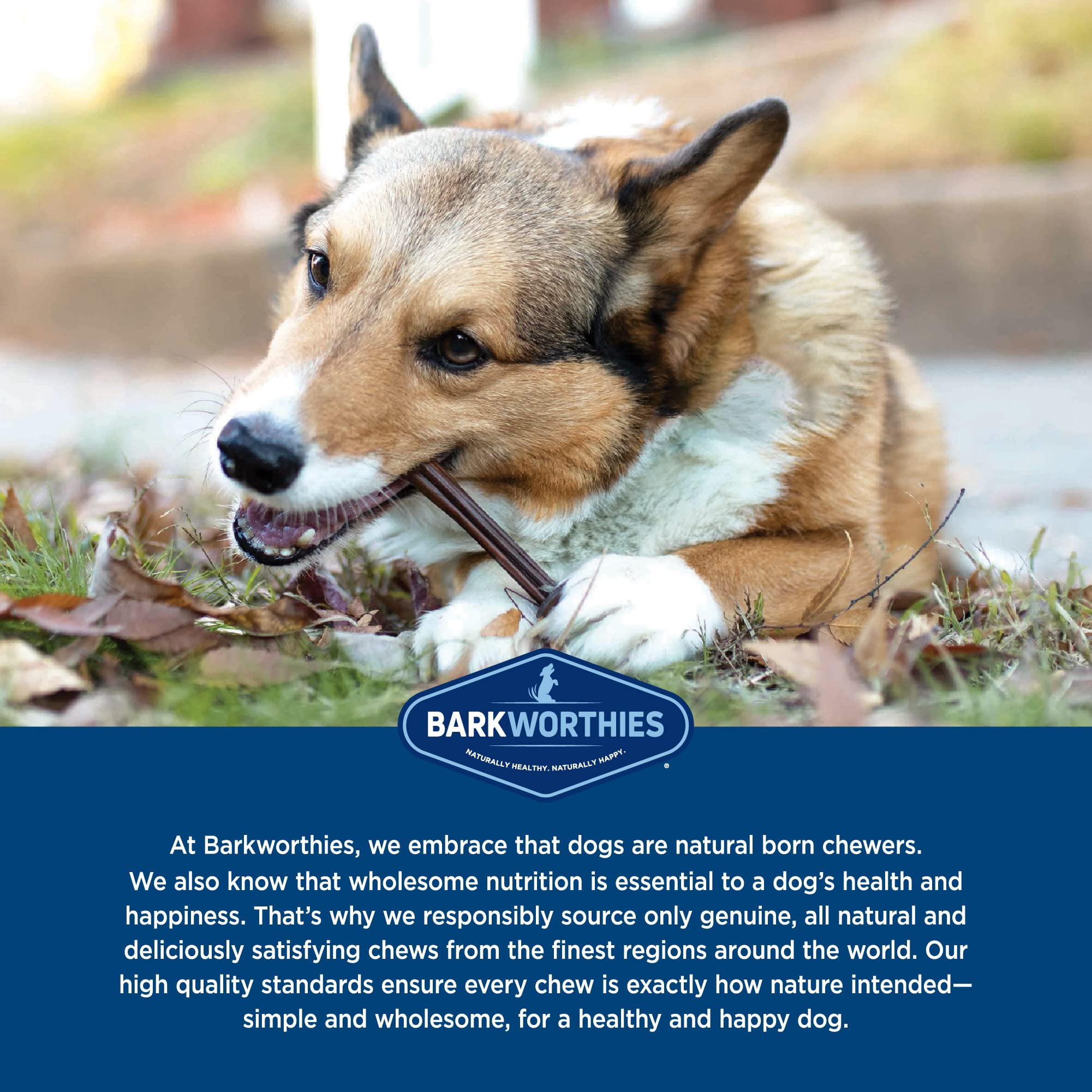 Barkworthies Plain Collagen Stick MMF7&nbsp;Dog Treats, 6-Inch, 8-Count