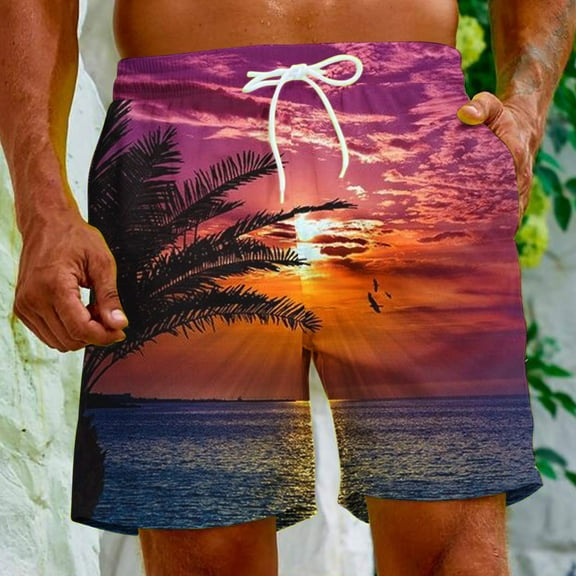 Aloohaidyvio Men Beach Shorts 3x,Mens Summer Swim Trunks Beach Board Shorts With Pockets Quick Dry Bathing Suits Holiday Shorts