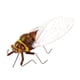 thumbnail image 3 of s de Arcilla Altamente Simulados, Animales de Color Aleatorio, Juguetes Zulema  Insectos de simulación, 3 of 8