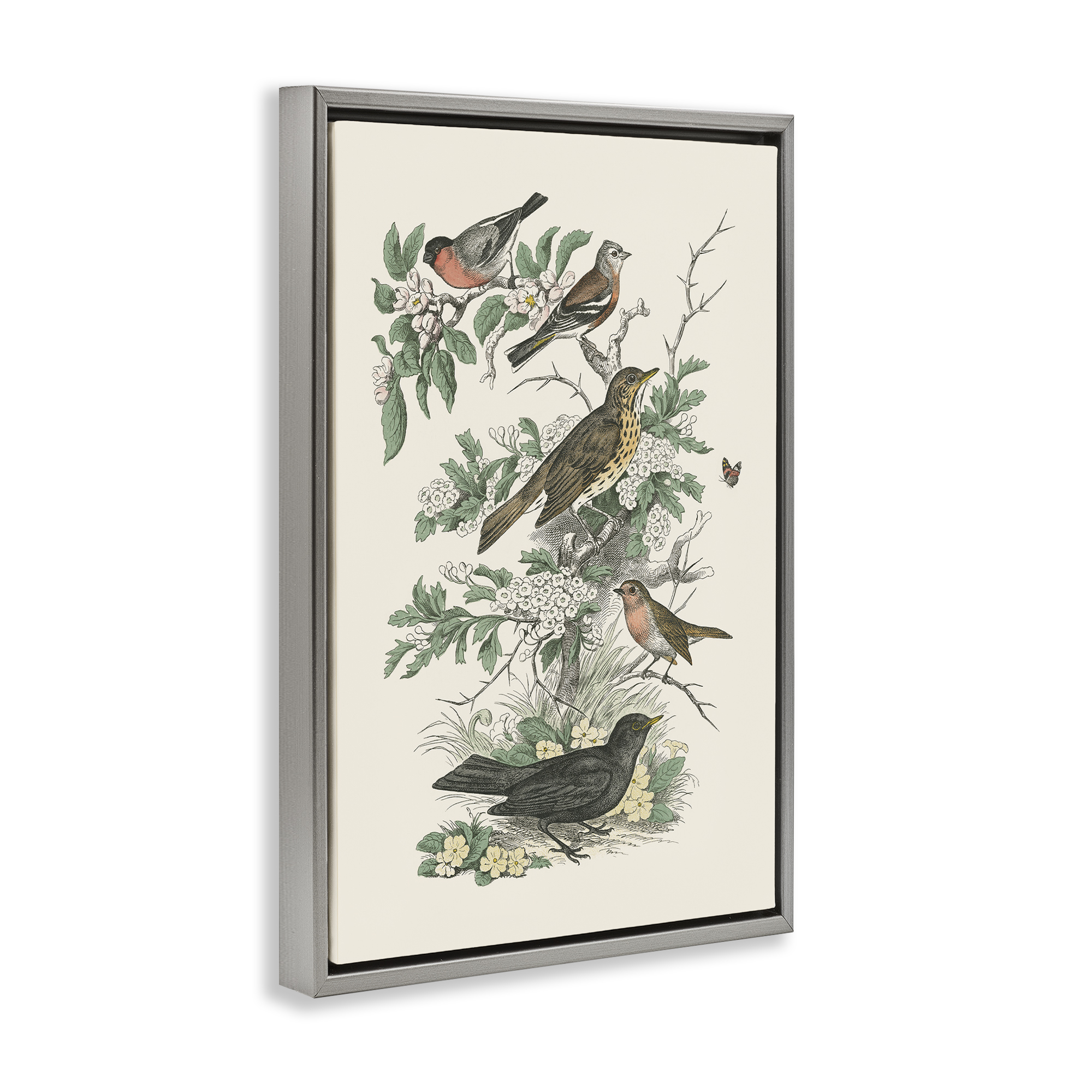 Stupell Industries Honeybloom Birds Perched Botanical & Floral Painting Gray Floater Framed Canvas Art Print Wall Art, 17 x 25