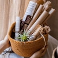 thumbnail image 5 of Cotton Rope Woven Basket Desktop Organizer, 5 of 10
