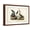 Brown Frame, variant on Art.com Audubon Ducks I Art Print by John James Audubon, 18" x 12"