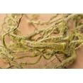 thumbnail image 4 of Floral Twig & Moss Garlands Realistic Vine 35 in Green & Brown 12 Pack, 4 of 4