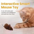 thumbnail image 2 of Electronic Funny Cat Toy Automatic Robotic Mice Toy with Real Mouse Electronic Sound Cat Toys for Cat Exercise, 2 of 5