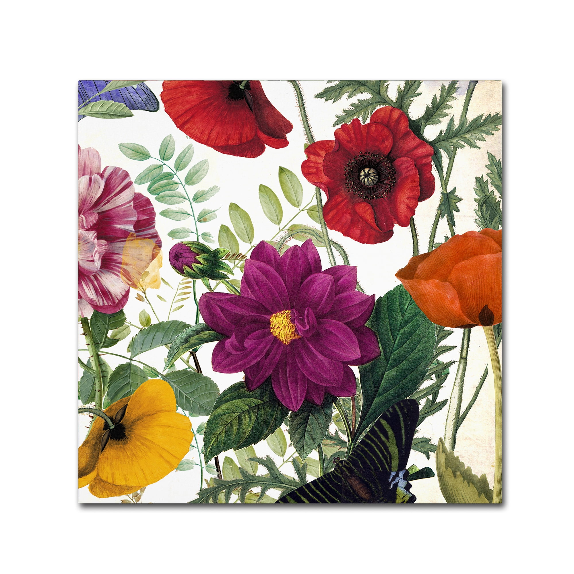 Trademark Fine Art "Printemps III" Canvas Art by Color Bakery