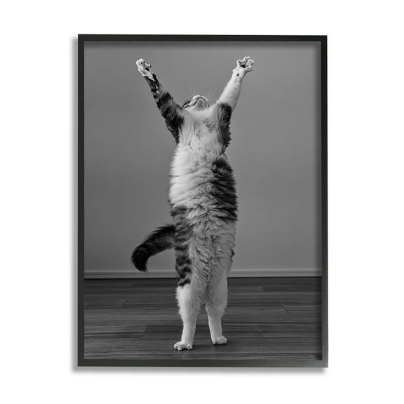 Stupell Industries Funny Cat Victory Pose Animals & Insects Photography Black Framed Art Print Wall Art, 11 x 14