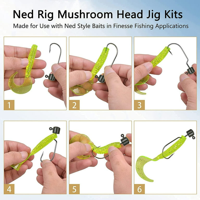 OROOTL Ned Rig Jig Heads Kit, 20Pcs Ned Rig Baits Hooks Finesse Mushroom  Jig Heads Fishing Crappie Jig Hooks Weedless Jig Heads for Bass Fishing 
