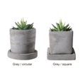 thumbnail image 3 of Mini Cute Flowerpot With Tray Cement Flowerpot Creative Simple Succulent Plants Flowerpot, 3 of 11