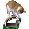 Imperial Cat Scratch 'n Shapes Football (2-in-1)