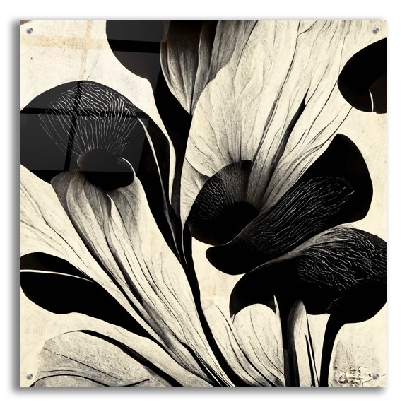 Epic Art 'Flowers Black White 27' by Ray Heere, Acrylic Glass Wall Art, 36"x36"