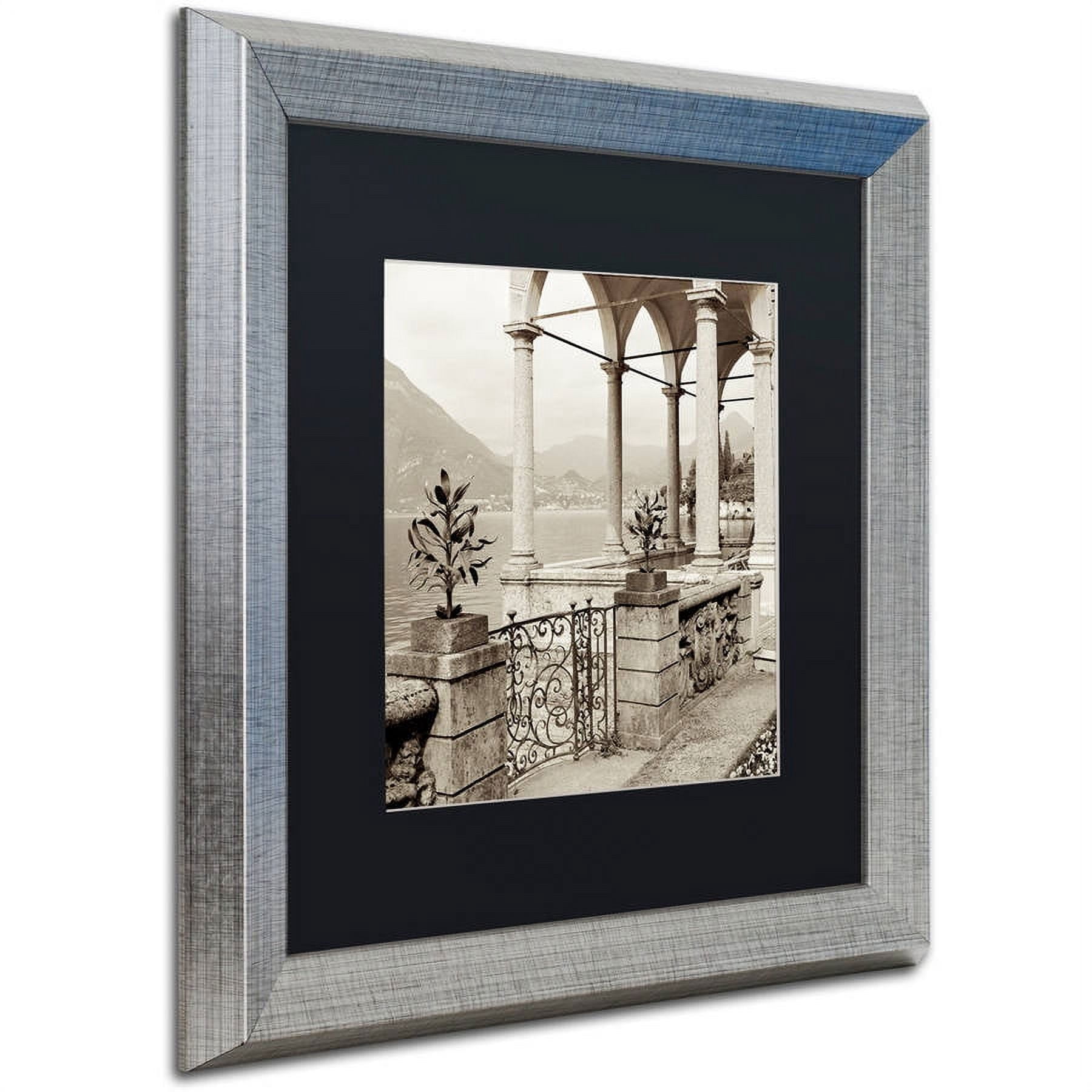 Trademark Fine Art "Lombardy VII" Canvas Art by Alan Blaustein, Black Matte, Silver Frame