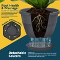 thumbnail image 4 of Whiskey Barrel Planters Lifemaster 10-Pack 25cm Plastic, 4 of 7