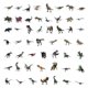 thumbnail image 2 of Pegatinas Jurassics Dinosaurs, vinilo impermeable, 51 unidades, 2 of 2