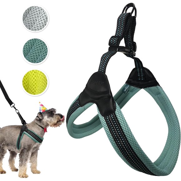 Collier D'identification Pour Chien Sporn Pour Grands Chiens, Collier Noir Et Rouge Pour Petit Chien En Nylon Avec Coutures De Couleur Contrastée, Colliers Pour Chiens De Grande Taille