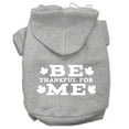 thumbnail image 4 of Thanksgiving Pet Dog  Cat Hoodie Screen Printed, "Be Thankful for Me", 4 of 11