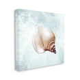 thumbnail image 3 of Stupell Industries Nautical Beach Seashell Graphic Art Gallery Wrapped Canvas Print Wall Art, Design by Marcus Prime, 3 of 4
