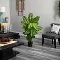 thumbnail image 2 of Plante de Dieffenbachia de 4 Po (Real Touch), 2 of 3