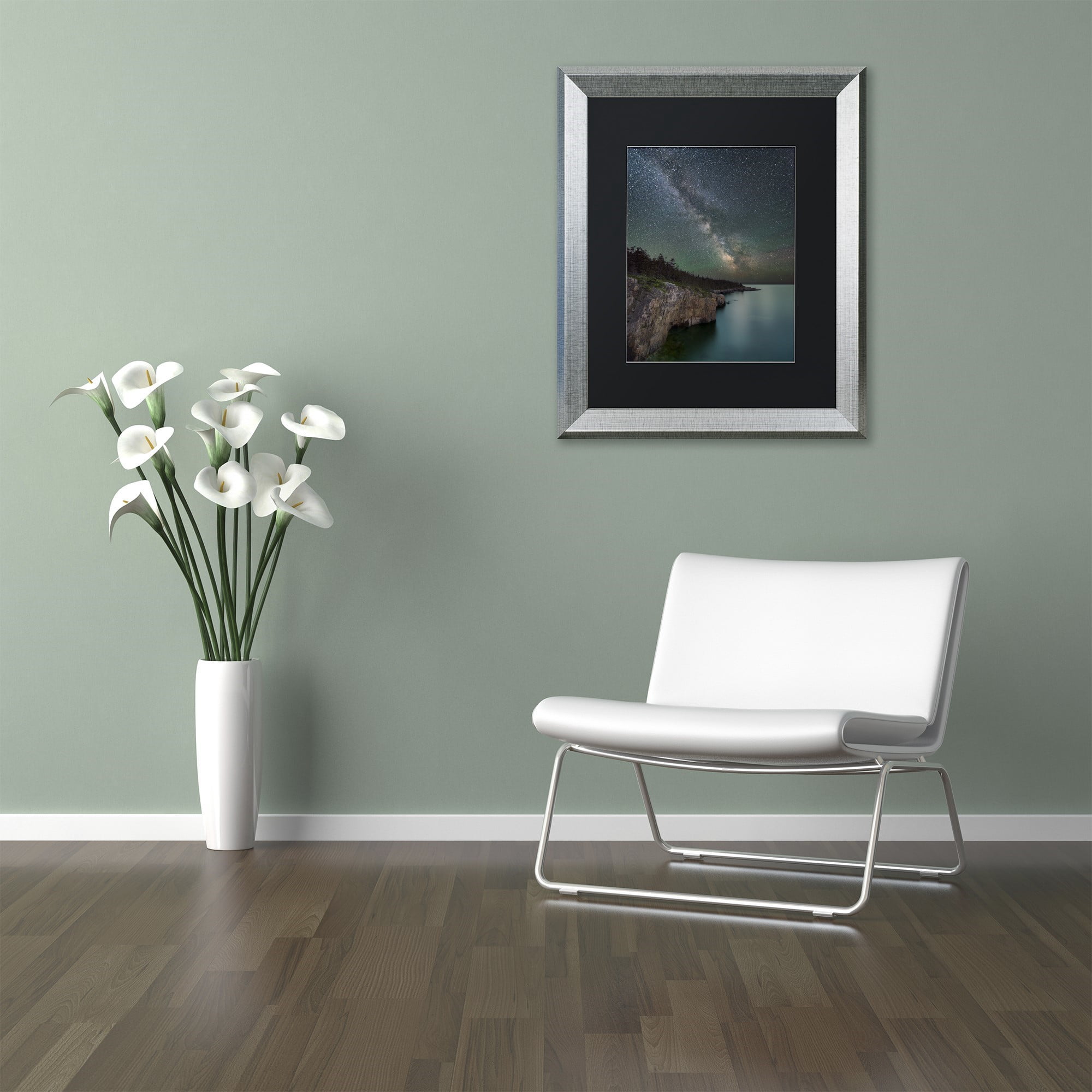 Trademark Fine Art 'Cliff Point' Canvas Art by Michael Blanchette Photography, Black Matte, Silver Frame
