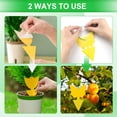 thumbnail image 4 of Sticky Traps YourDada, 40 unidades, para hongos, mosquitos, moscas de la fruta y moscas, 4 of 7