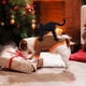 thumbnail image 3 of Disfraces de Halloween para perros, traje de disfraz de perro con diseño único de gato negro, ropa para cachorros para fiesta de Halloween de Navidad (M), 3 of 4