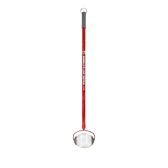 Acorn Roller Pro: Efficient Yard Nut Collector