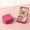 F, variant on Leodye 1PCS Plush Velvet Travel Jewelry Case, Organizer, Box, Small Case for Women, Earring Organizer with Mirror, Best Gifts for Girlfriend, Mom | Gifts for Her -3.94 Ć 3.94 Ć 1.97 inch
