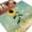 Green, variant on Farm Sunflowers Bathroom Rug Washable 2x3 Entryway Rug Non Slip Idyllic Country Botanical Bee Turquoise Front Door Mat Low Pile Indoor Doormat Throw Floor Carpet for Kitchen Bedroom Entrance