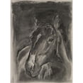 thumbnail image 2 of Parker, Jennifer Paxton 15x18 Gold Ornate Wood Framed with Double Matting Museum Art Print Titled - Charcoal Horse Study on Grey II, 2 of 4