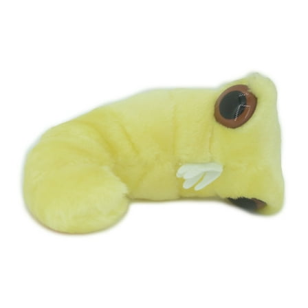 Bookworm Plushy, Anobium punctatum Plush Booklice Toy, Microorganisms Plush Design, Educational, Figure, Replica, Gift, 6" F1697 B102