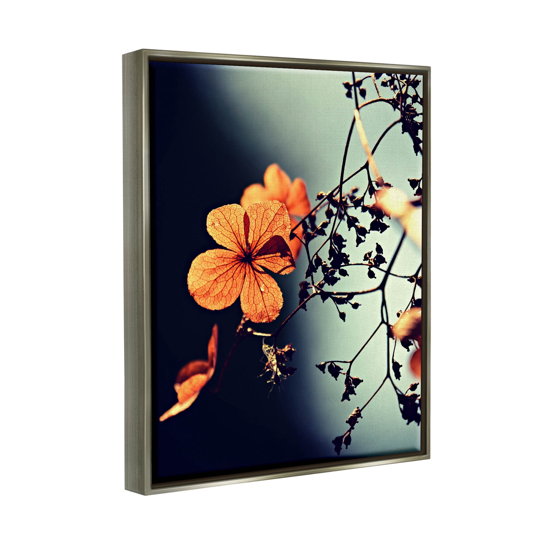 Stupell Industries Sunlit Detailed Floral Petals Photograph Luster Gray Floating Framed Canvas Print Wall Art, Design by Lil' Rue