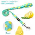 thumbnail image 5 of azuza 3 Pack Fruit Pattern Design Nylon Dog Leashes Strong & Durable Basic Leash 4/5/6 FT, 5 of 7