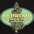 thumbnail image 3 of CafePress - Redwood National Park T Shirt - Men's Classic Graphic Cotton T-Shirt, 3 of 4