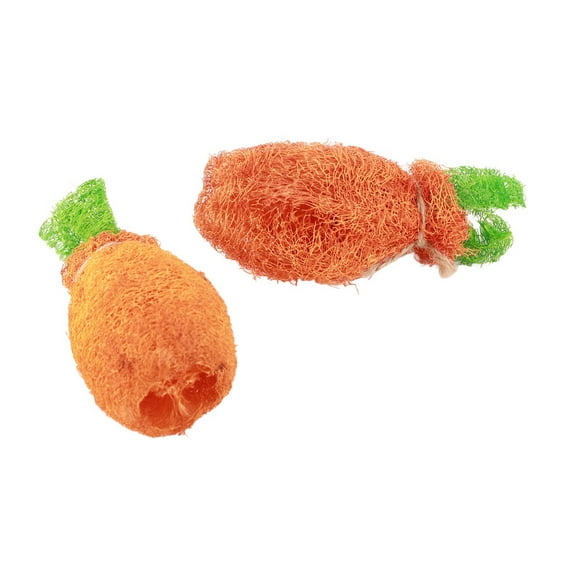 Loofah Carrot Toys,2pcs Rabbit Carrot Chew Rabbit Chew Toys Rabbit Carrot Chew Toy Extended Durability