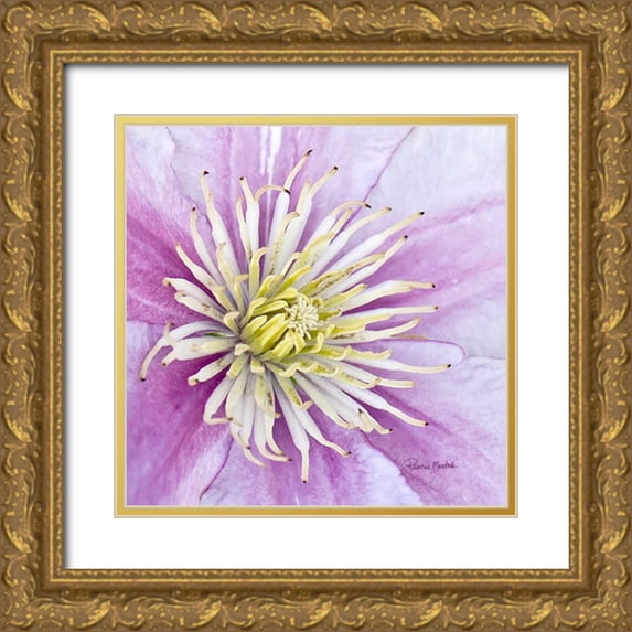 Murdock, Ramona 12x12 Gold Ornate Wood Framed with Double Matting Museum Art Print Titled - Clematis