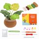 thumbnail image 1 of Kit de crochet para principiantes, plantas con flores, kit de crochet para principiantes, kit de crochet para principiantes, manualidades DIY, 1 of 5
