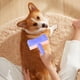 thumbnail image 5 of Cepillo para depilar animales para muebles y tapicería de coches - Limpiador de pelusa de goma eficiente para sofás, camas, alfombras y depilación de pelo de mascotas, 5 of 6