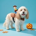 thumbnail image 2 of Vibrant Life Halloween Cowboy Ride-On Costume for Dogs and Cats, Multicolor, S, 2 of 6