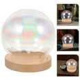 Axio Glass Dome with Wood Base Doll Glass Cover Eternal Flower Glass