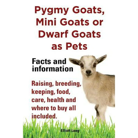 Pygmy Goats as Pets. Pygmy Goats, Mini Goats or Dwarf Goats : Facts and Information. Raising, Breeding, Keeping, Milking, Food, Care, Health and