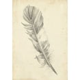 thumbnail image 2 of Harper, Ethan 24x32 White Modern Wood Framed Museum Art Print Titled - Feather Sketch I, 2 of 4