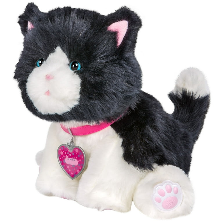 Little live pets muffin my dream kitten sales