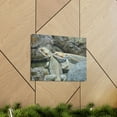 thumbnail image 6 of Water Dragon Couple Water Dragon Couple Print Animal Wall Art Wildlife Canvas Prints Wall Art Ready to Hang Unframed, 6 of 18