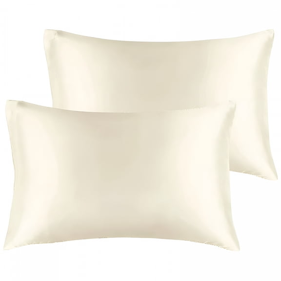 AUQ 2026 New 2 Pack Satin Silky Pillowcases for Hair&Skin,Queen Size Cooling Satin Pillow Case with Hidden Zipper,Allergen Proof Dual Sides Soft Smooth Pillow Cover for Women (20X29 Inches)