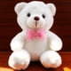 thumbnail image 2 of Oso peluche FLhrweasw con LED Funciona con Pilas Blanco, 2 of 9