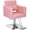 Pink, variant on UBesGoo Hair Salon Chair Hydraulic Barber Chair for Home Barbershop Black, Braiding Chair for Hair Stylist Heavy Duty, Styling Hairdressing Beauty Spa Equipment