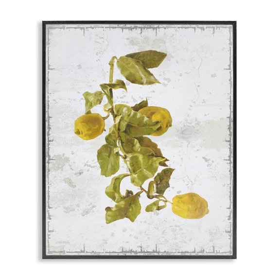 Stupell Industries Shabby Chic Natural Lemon Fruits Black Framed Giclee Art, 24 x 30, by Graffitee Studios
