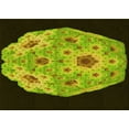 thumbnail image 1 of Ahgly Company Machine Washable Indoor Rectangle Transitional Pistachio Green Area Rugs, 5' x 7', 1 of 7